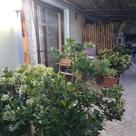 Apartment Fiorerosa *