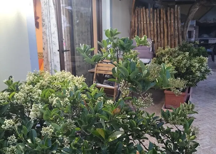 Apartman Fiorerosa *