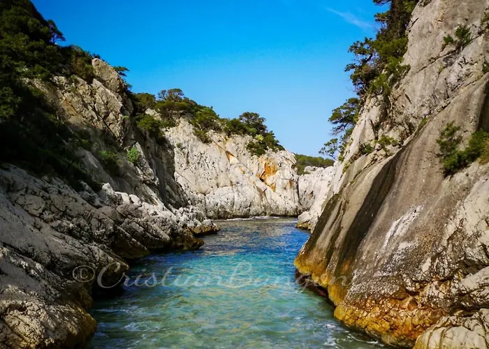 Fiorerosa アパート